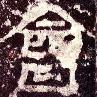 会