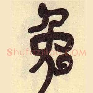 兔